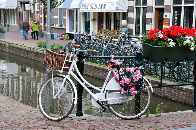Maximale snelheid op fietspaden